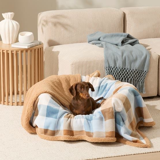 Maisy Bailey Check Pet Blanket