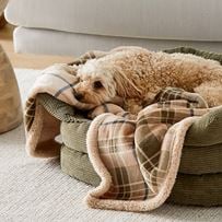 Maisy Biscuit & Forest Check Pet Blanket