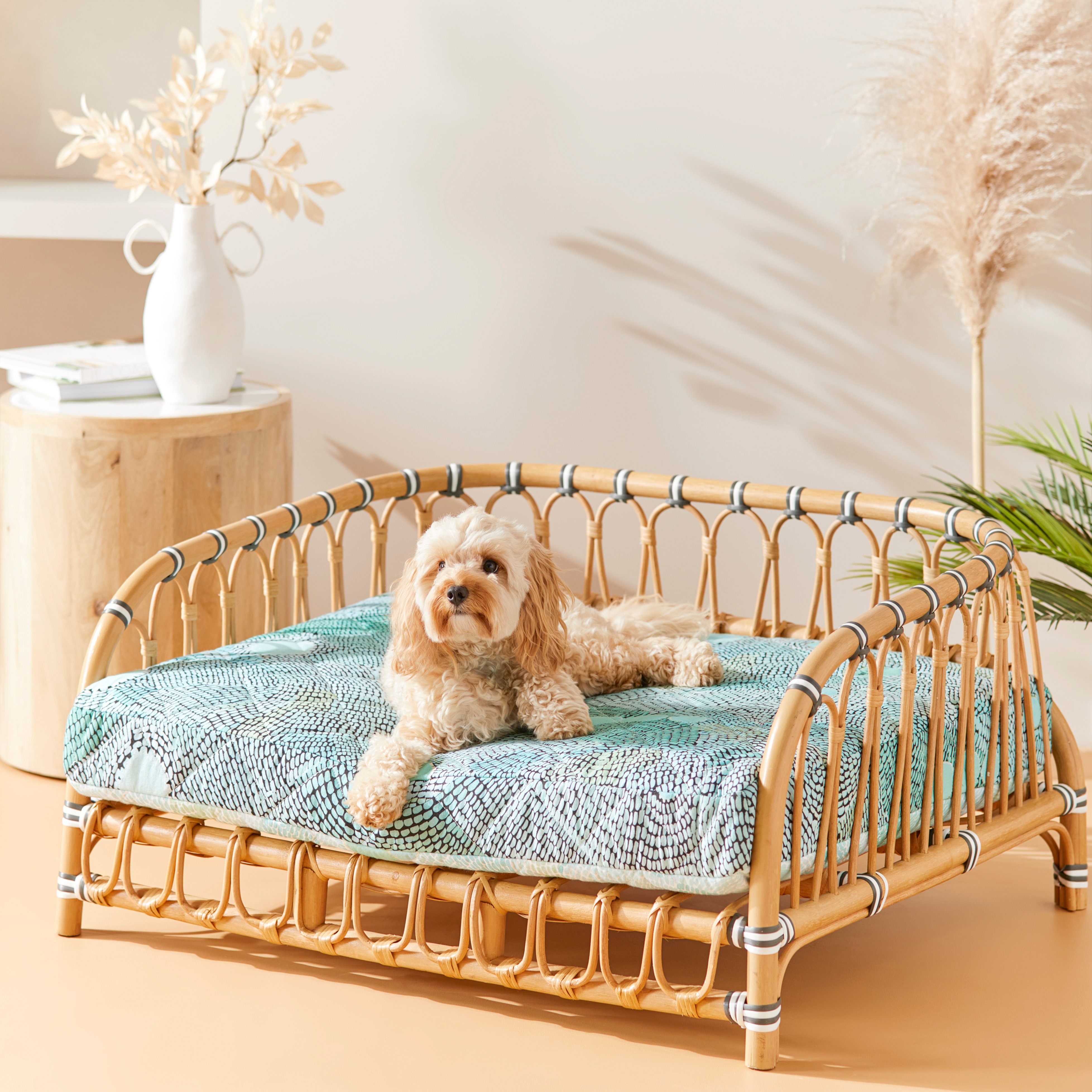 Oasis rattan hotsell dog bed