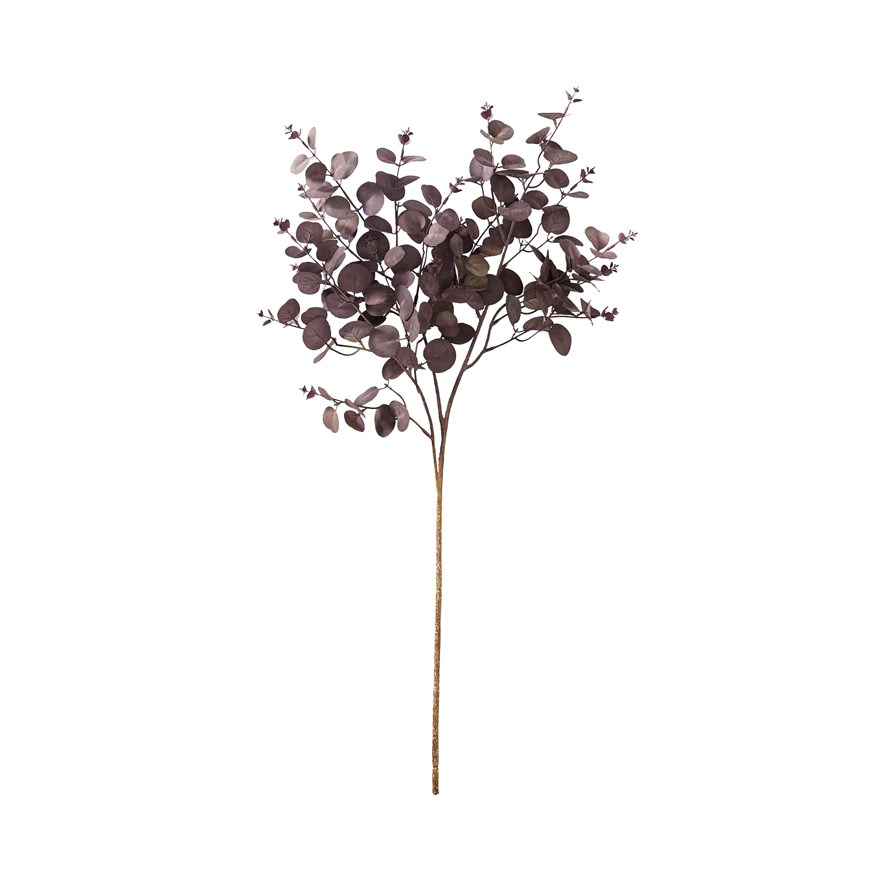 Native Stem Purple Eucalyptus | Adairs