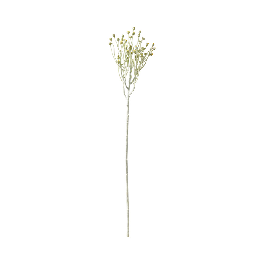 Home Republic - Native Yellow Psilotum Spray Stem | Adairs