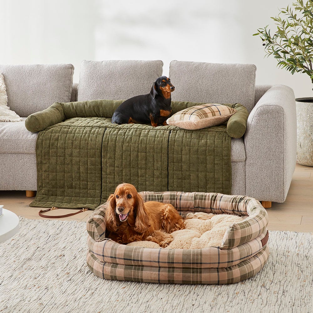 Harris tweed hot sale dog bed