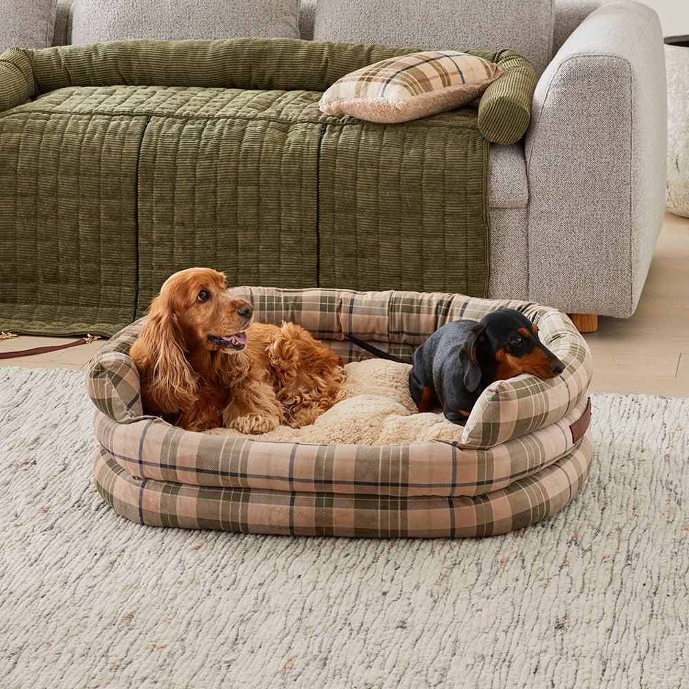 Harris tweed dog outlet bed