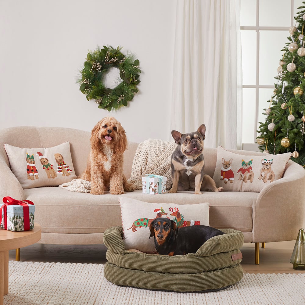 Dachshund top christmas pillows