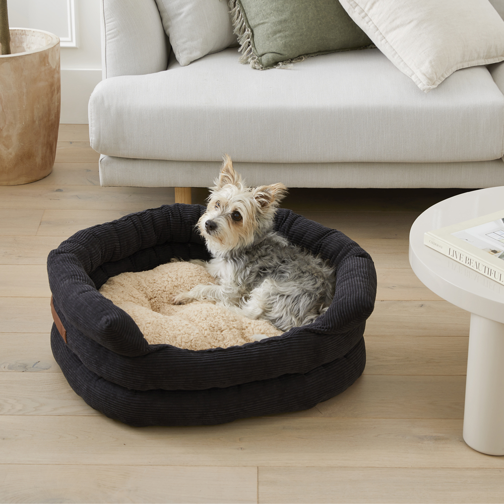 Jumbo cord dog store bed