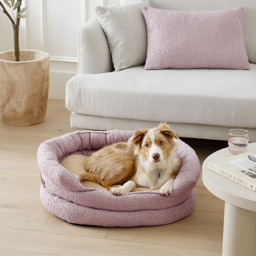 Rattan dog store bed adairs