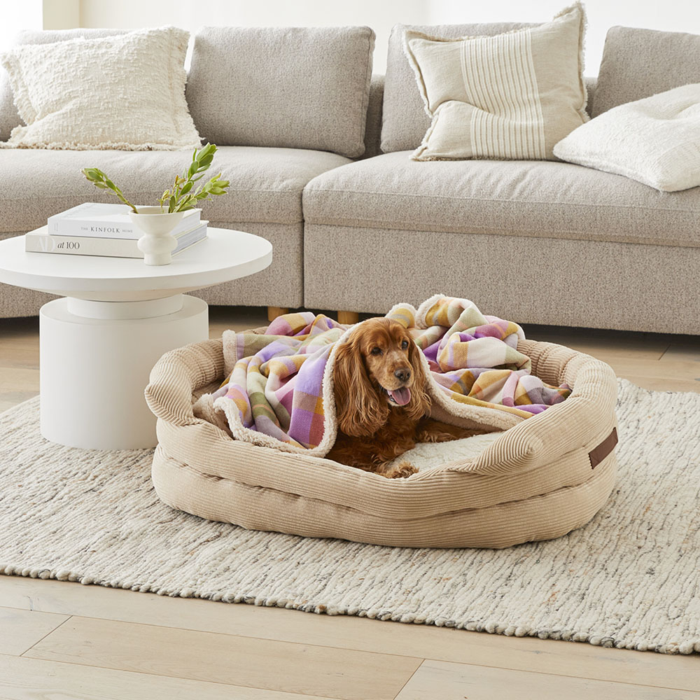 Pet throws for best sale chairs