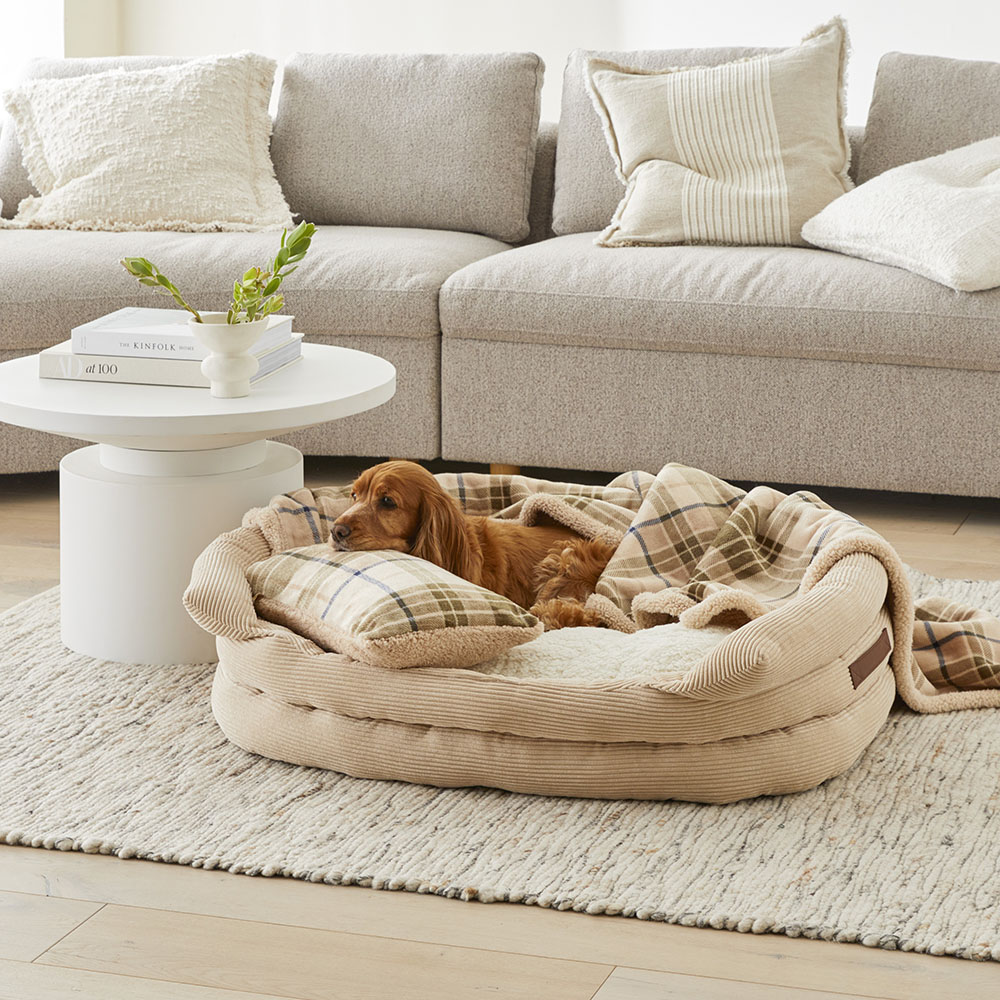 Adairs pet clearance bed