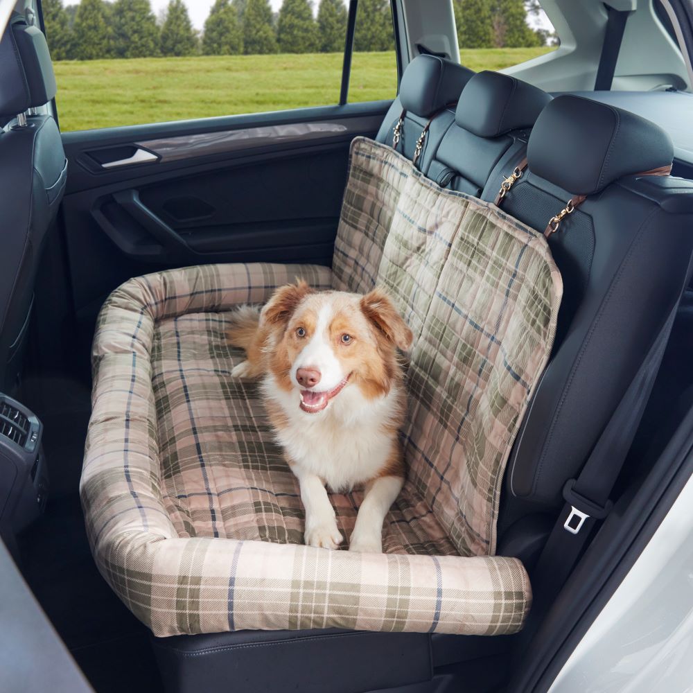 Double pet shop car seat