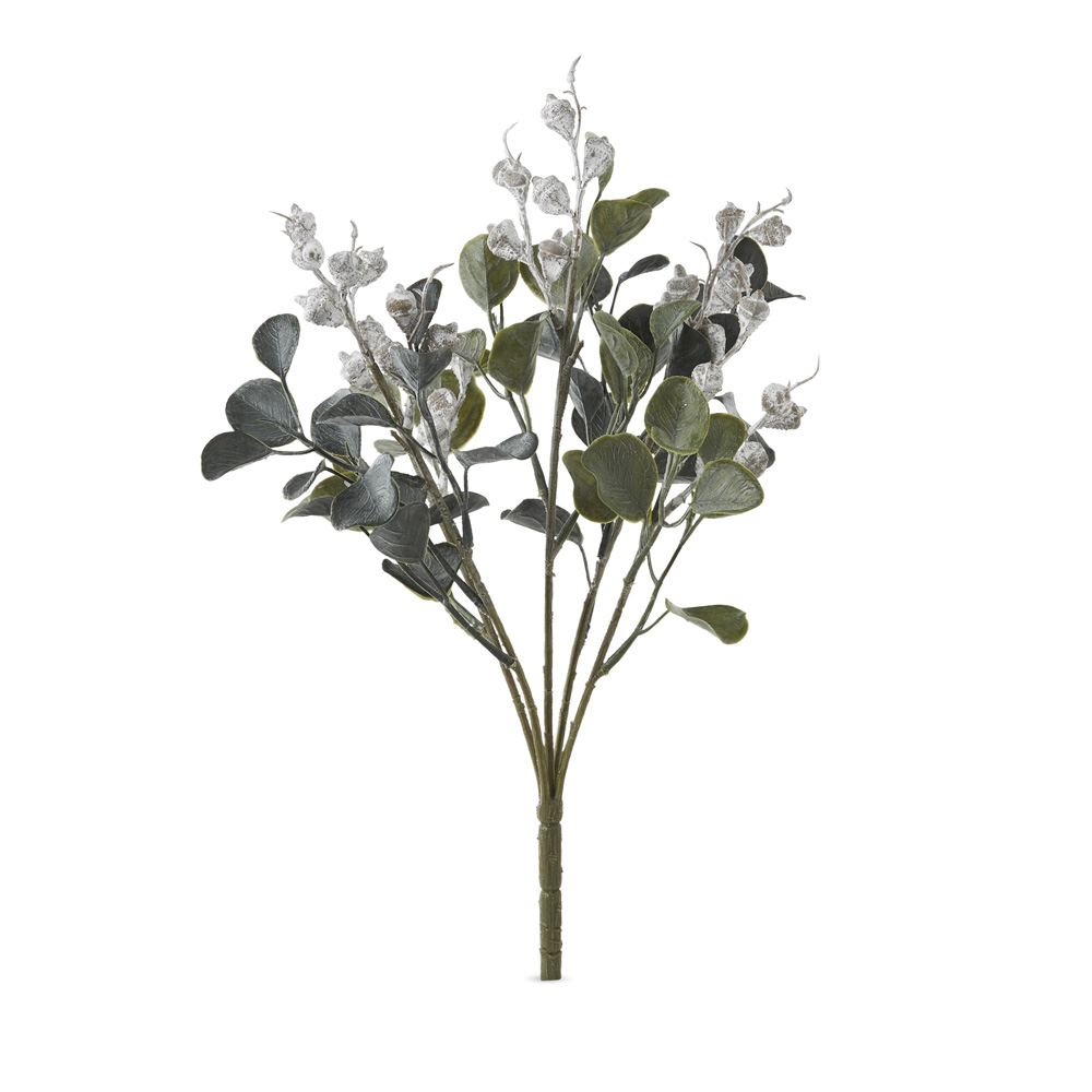 Silver Gum Silver Green Standing | Adairs