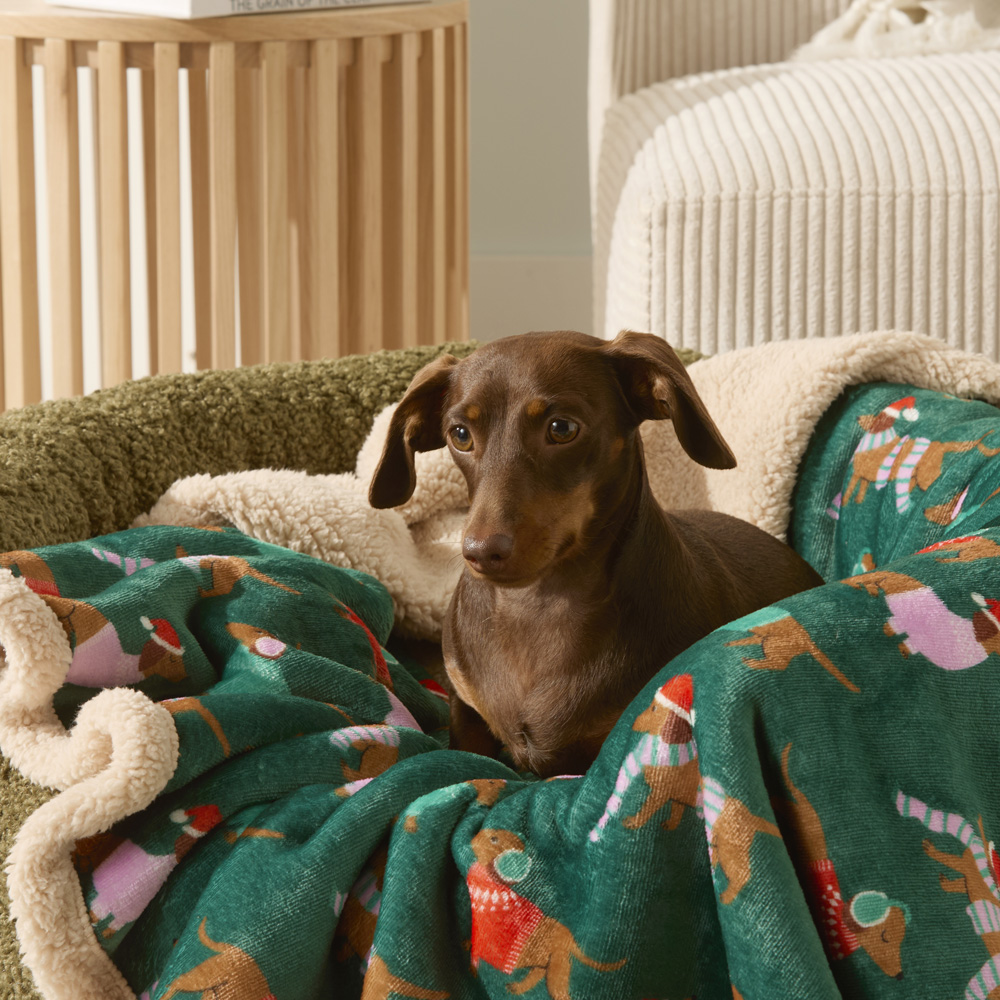 Fetch Dog Beds Blankets Accessories Adairs