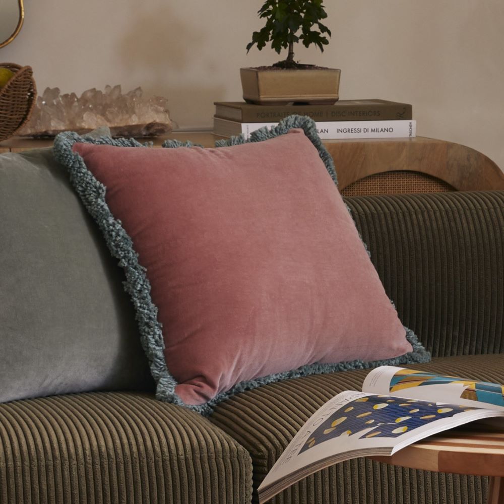 Adairs velvet cushion best sale