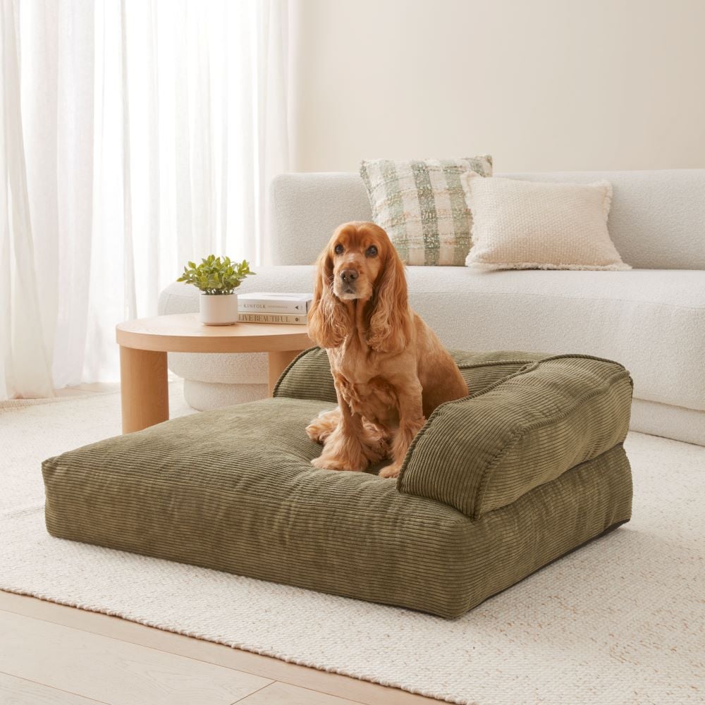 Cooper Forest Couch Pet Bed Adairs