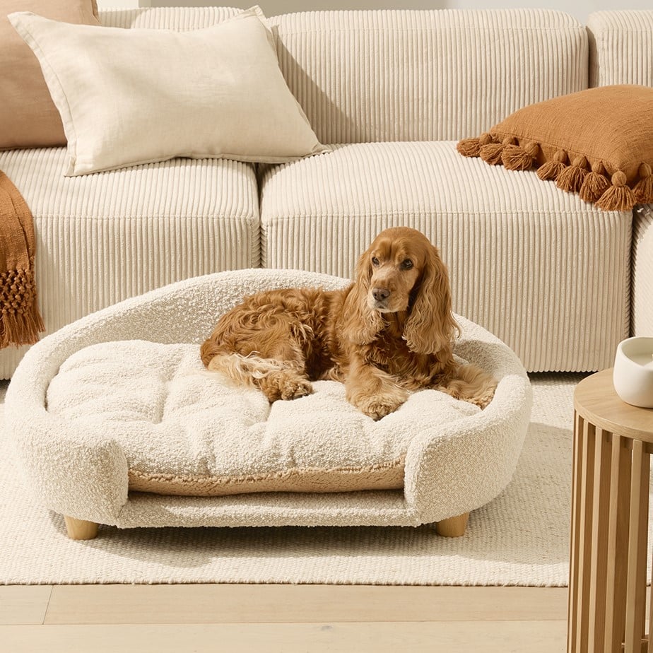 Buddy Cream Boucle Pet Bed Adairs