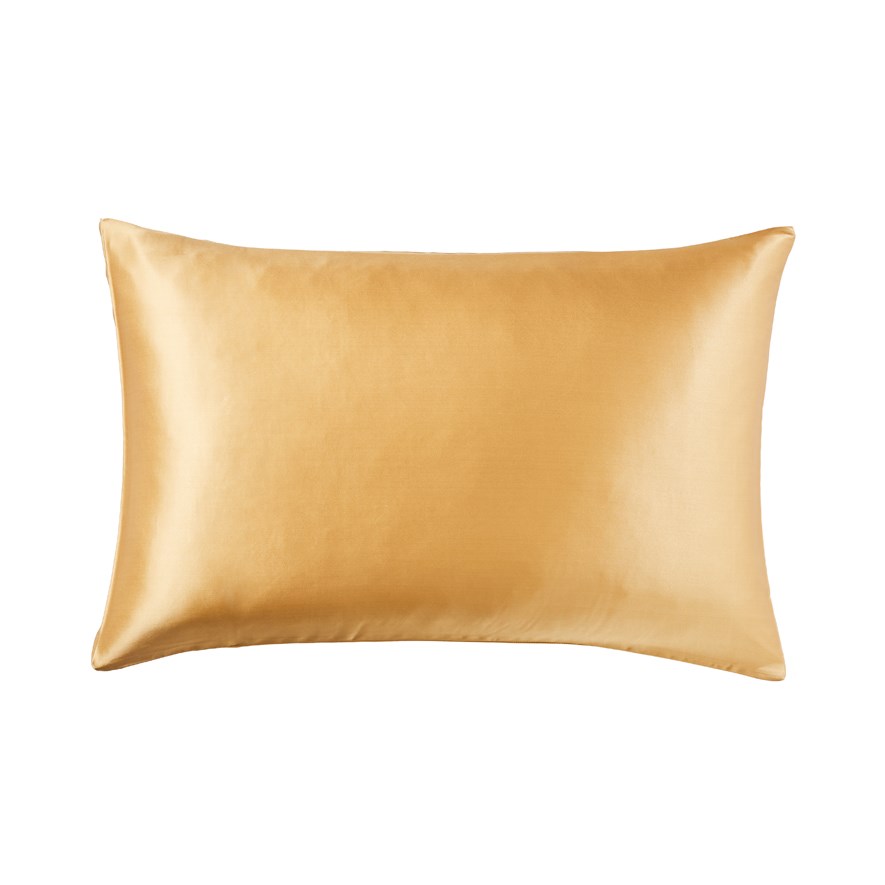 Pure Silk Cashew Pillowcase Adairs