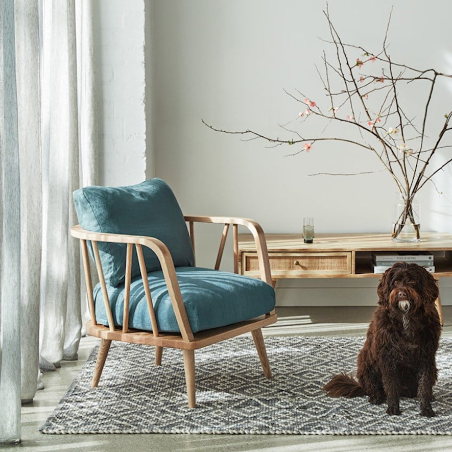 Grey discount blue chair