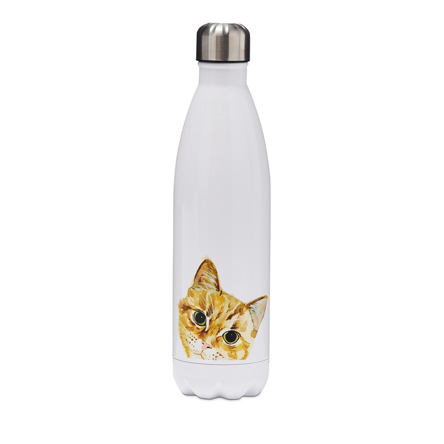 Cat drink sale bottle