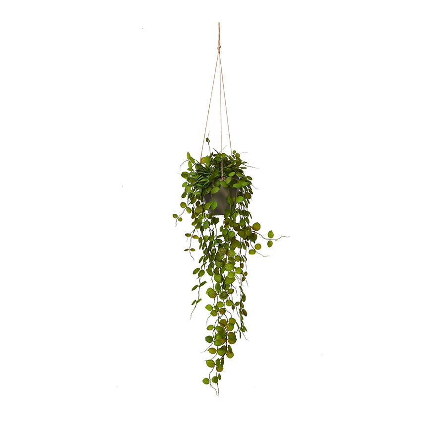 Ashton Hanging Plant Coin Leaves | Adairs