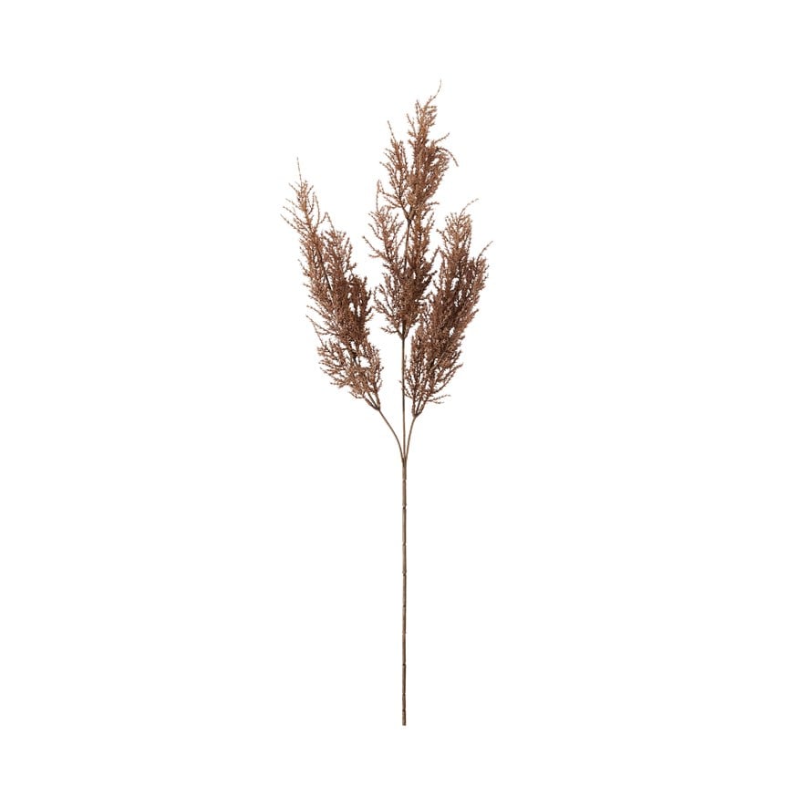 Winter Dark Brown Cypress Stem | Adairs