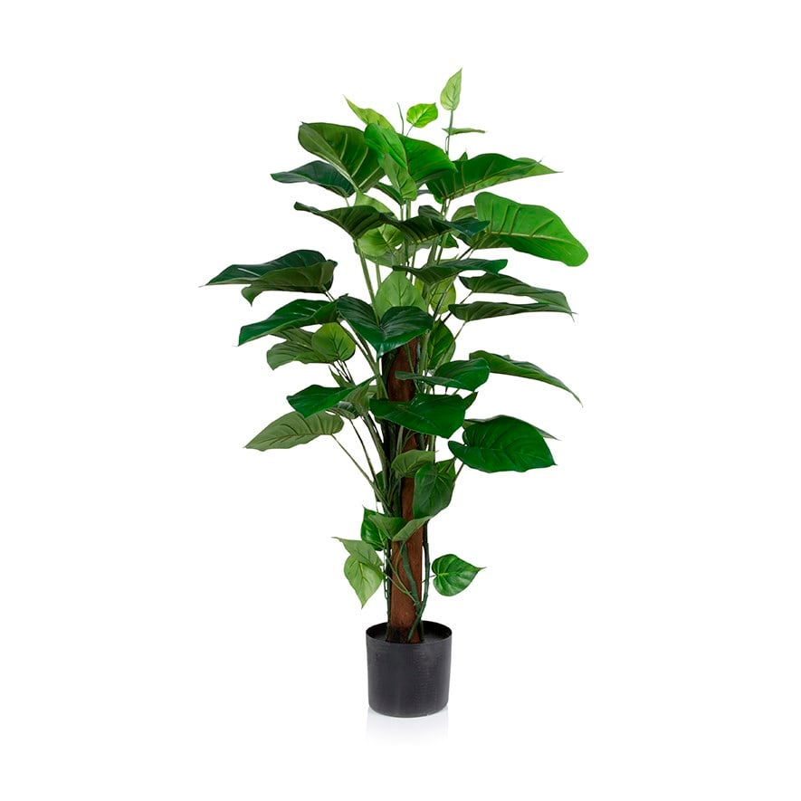 Pothos 120cm Potted Plant | Adairs