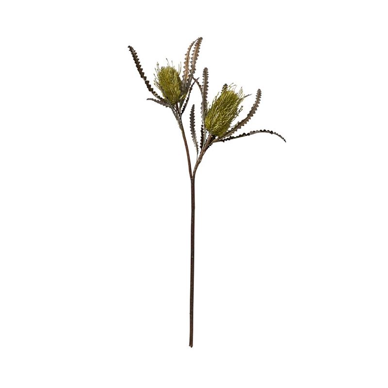 Home Republic - Native Green Banksia Stem | Adairs