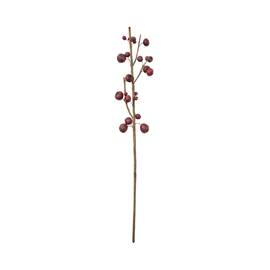 Botanical Red Medlar Stem | Adairs