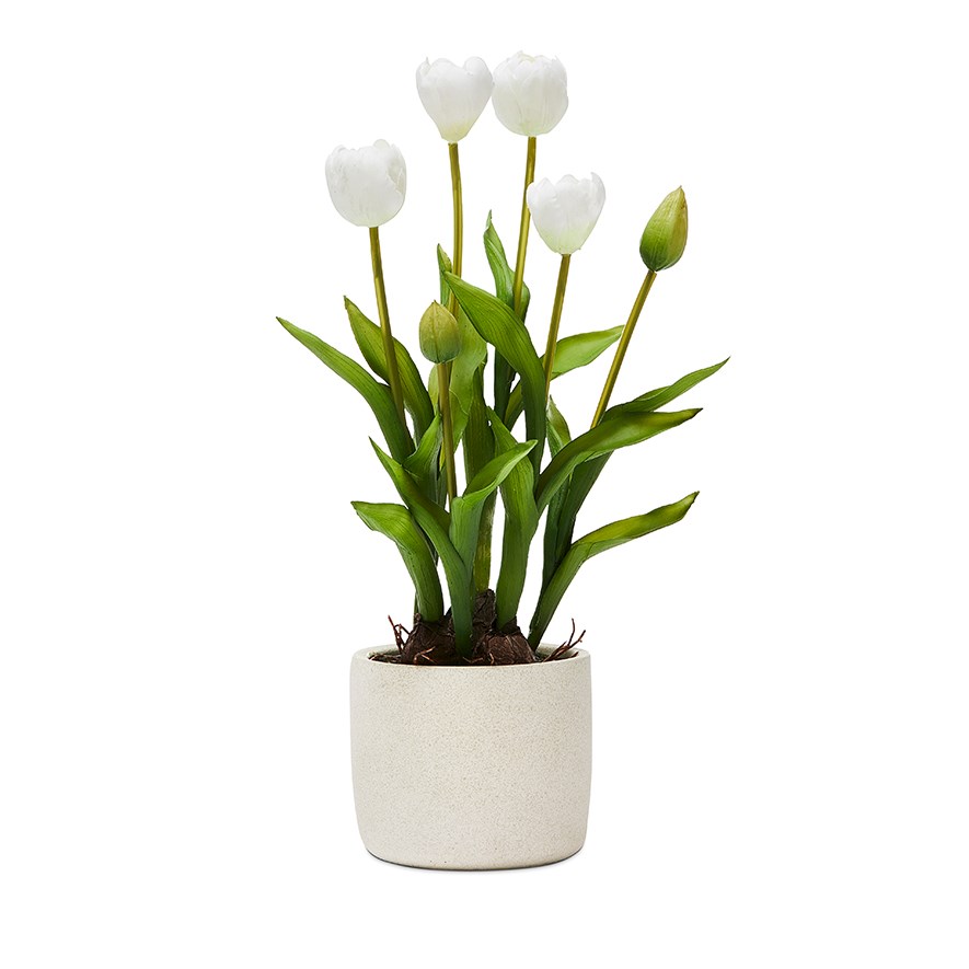 Mercer + Reid - White Tulip Collection | Adairs