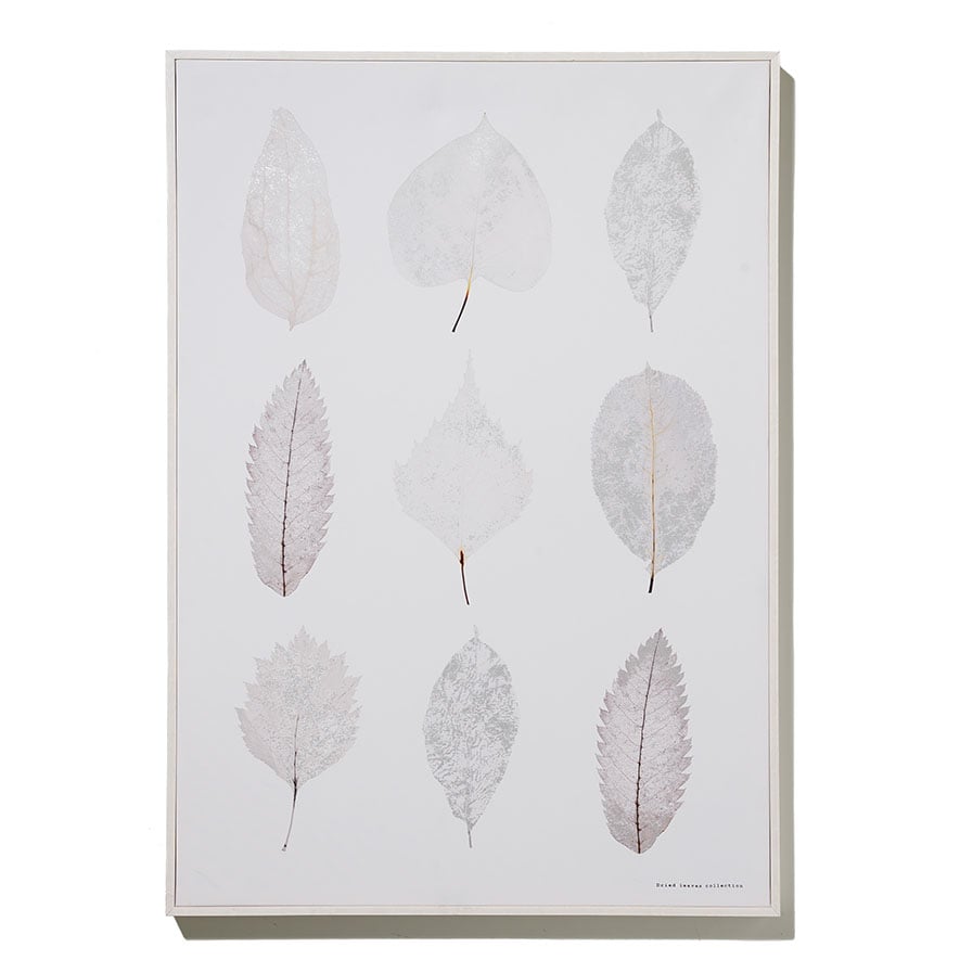 Home Republic - Botanic Gloss Neutral Leaves Canvas - Homewares - Wall ...