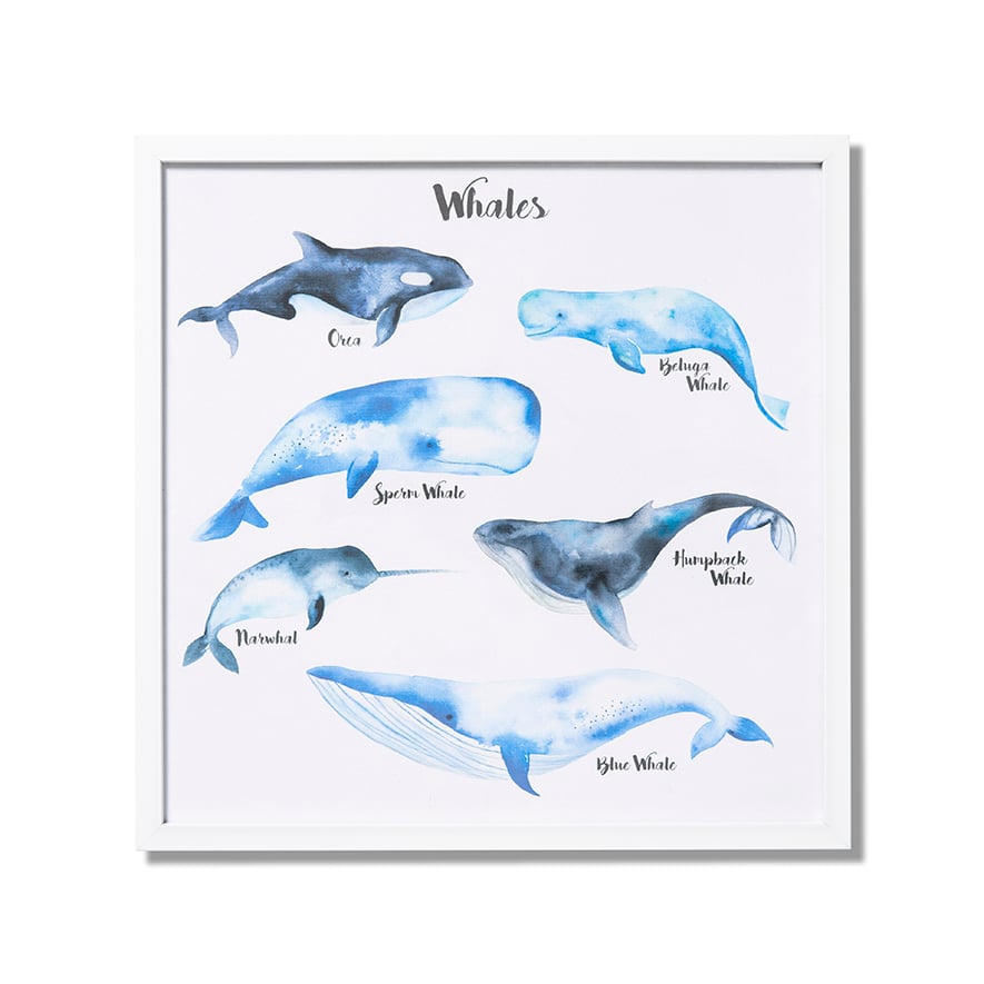 Adairs Baby - Whale Song Wall Art 